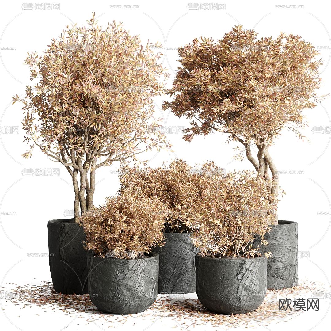 侘寂植物盆栽3d模型下载_ID11938297_3dmax免费模型-欧模网