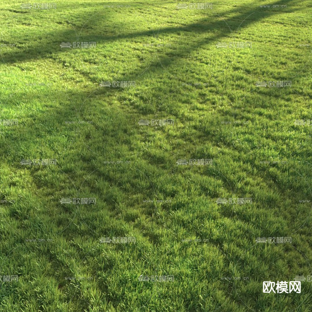 现代草地草坪3d模型