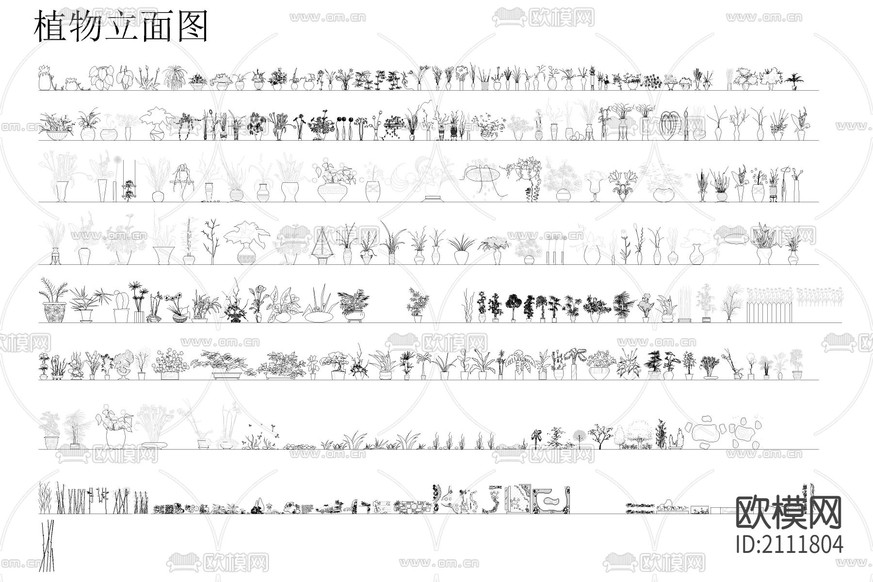 植物立面cad图库下载(渲染图1)