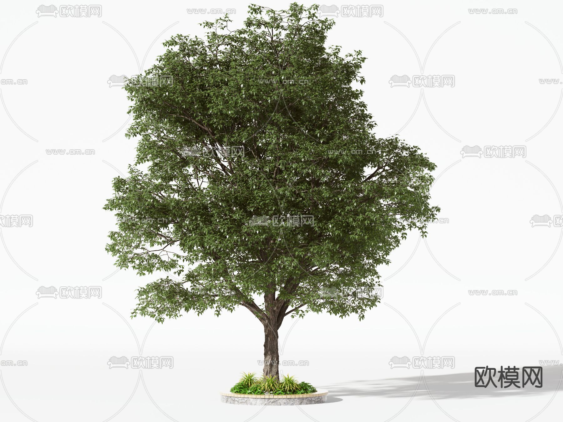现代景观树3d模型下载