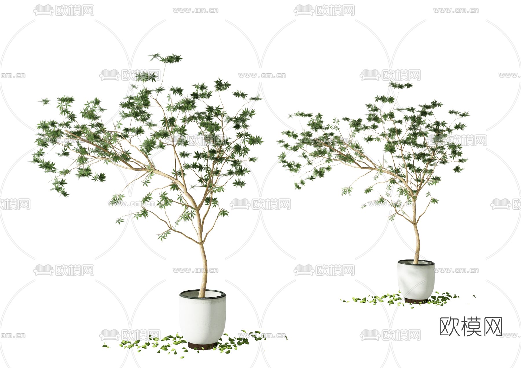 现代绿植盆栽免费3d模型下载