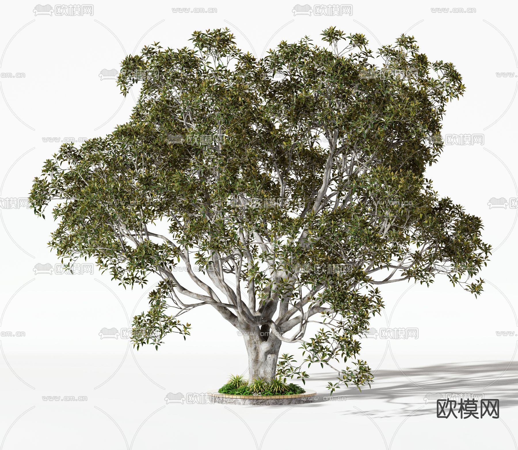 现代景观树3d模型下载