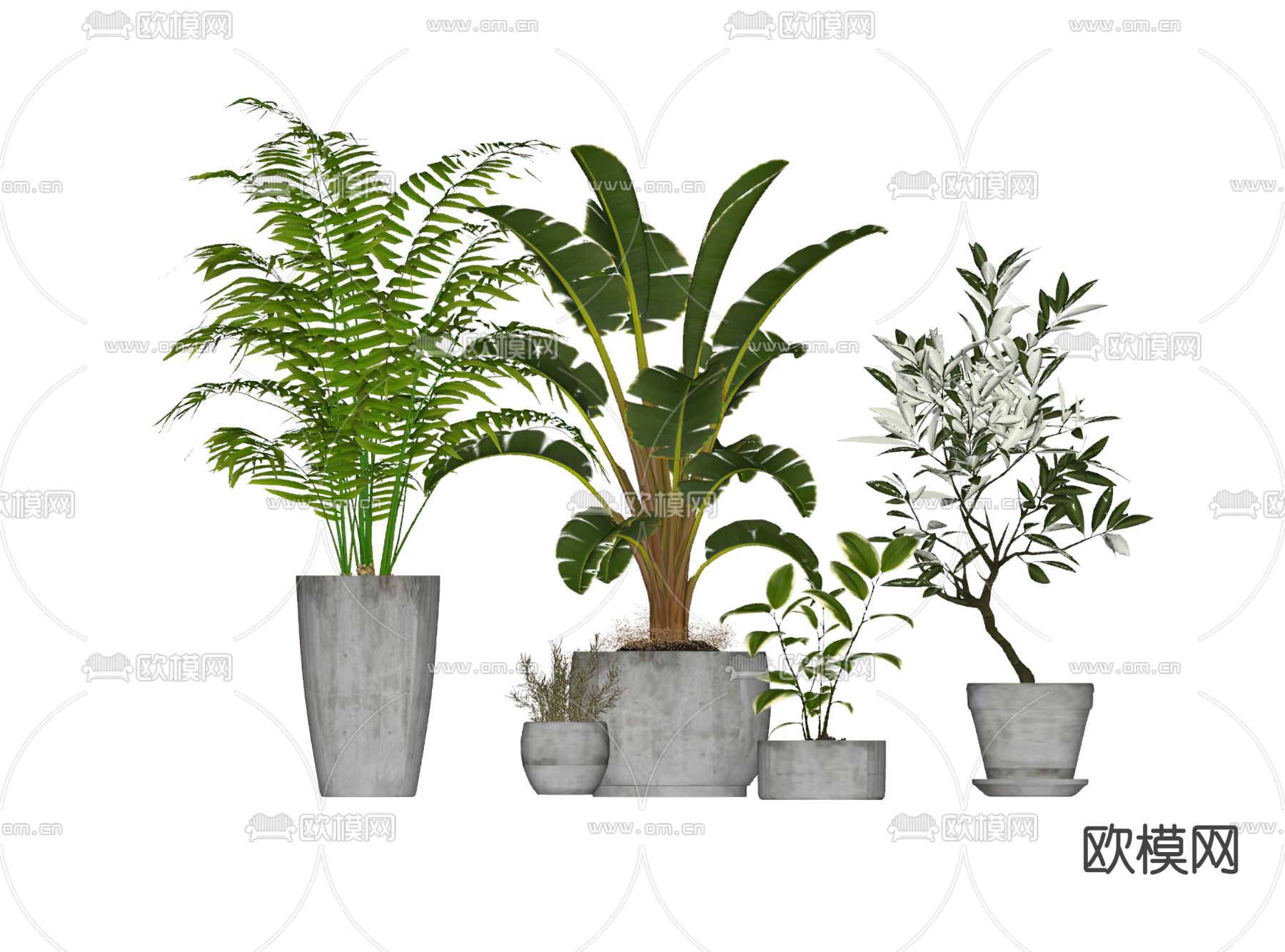 现代植物盆栽su模型下载（渲染图2）