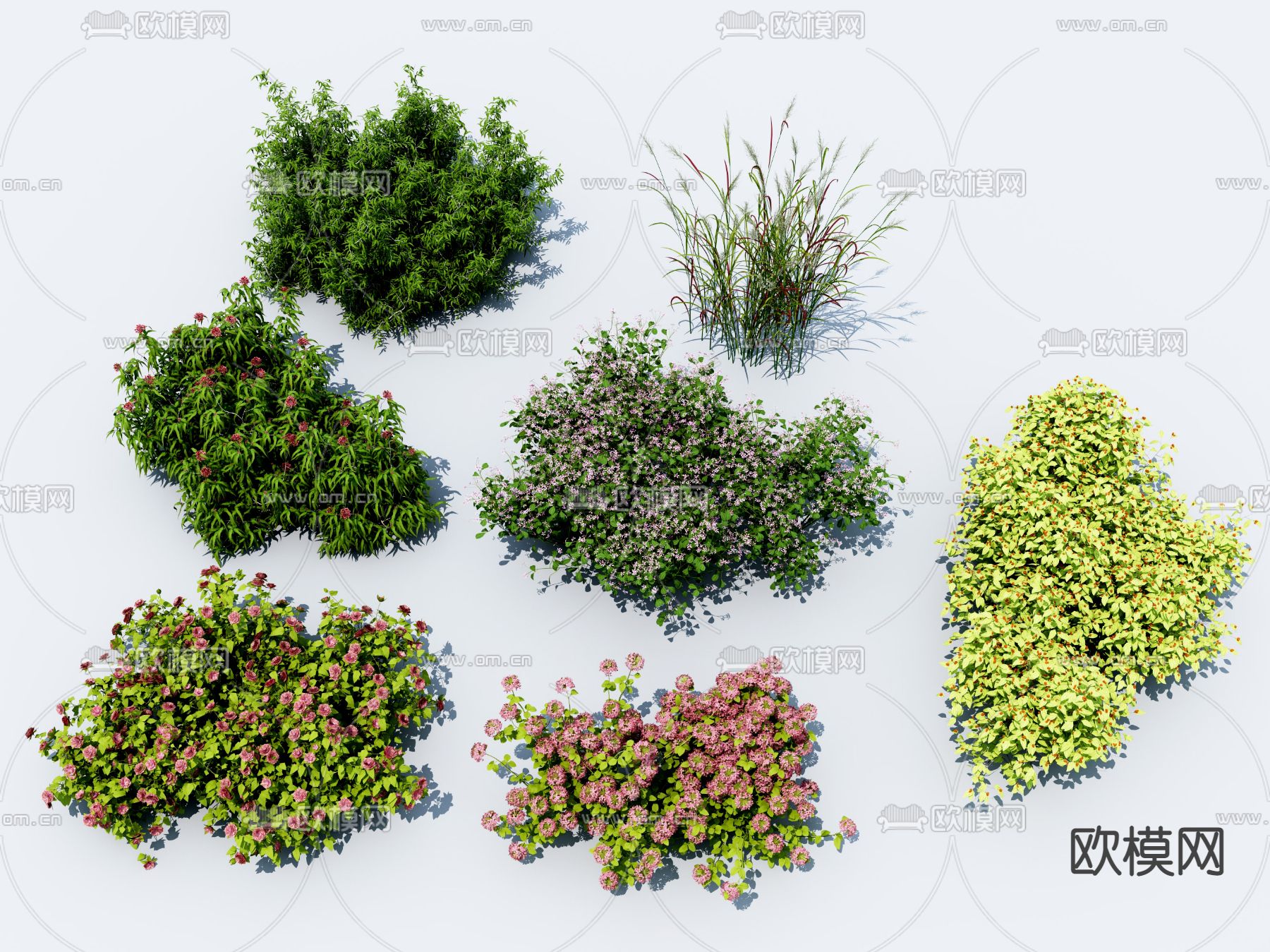 现代花草组合3d模型下载