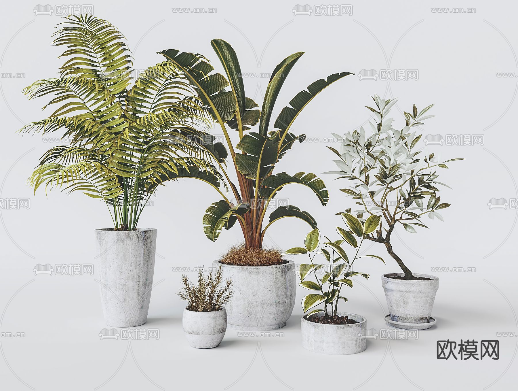 现代植物盆栽su模型下载（渲染图1）