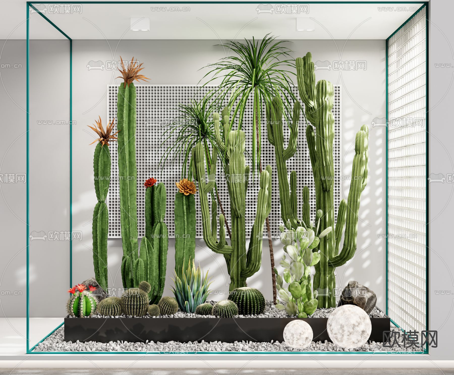 现代景观仙人掌小品3d模型下载