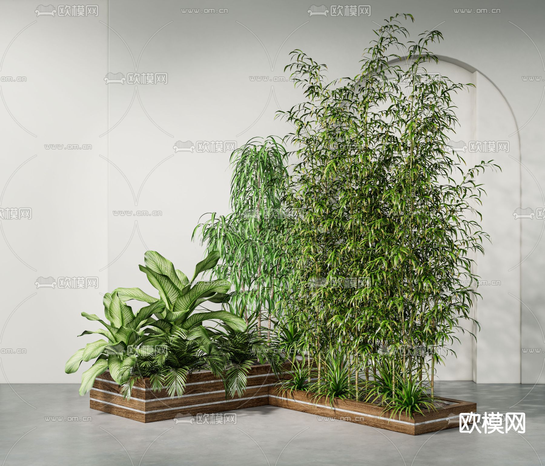 现代景观竹su模型下载（渲染图1）