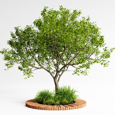 树精选su模型合辑