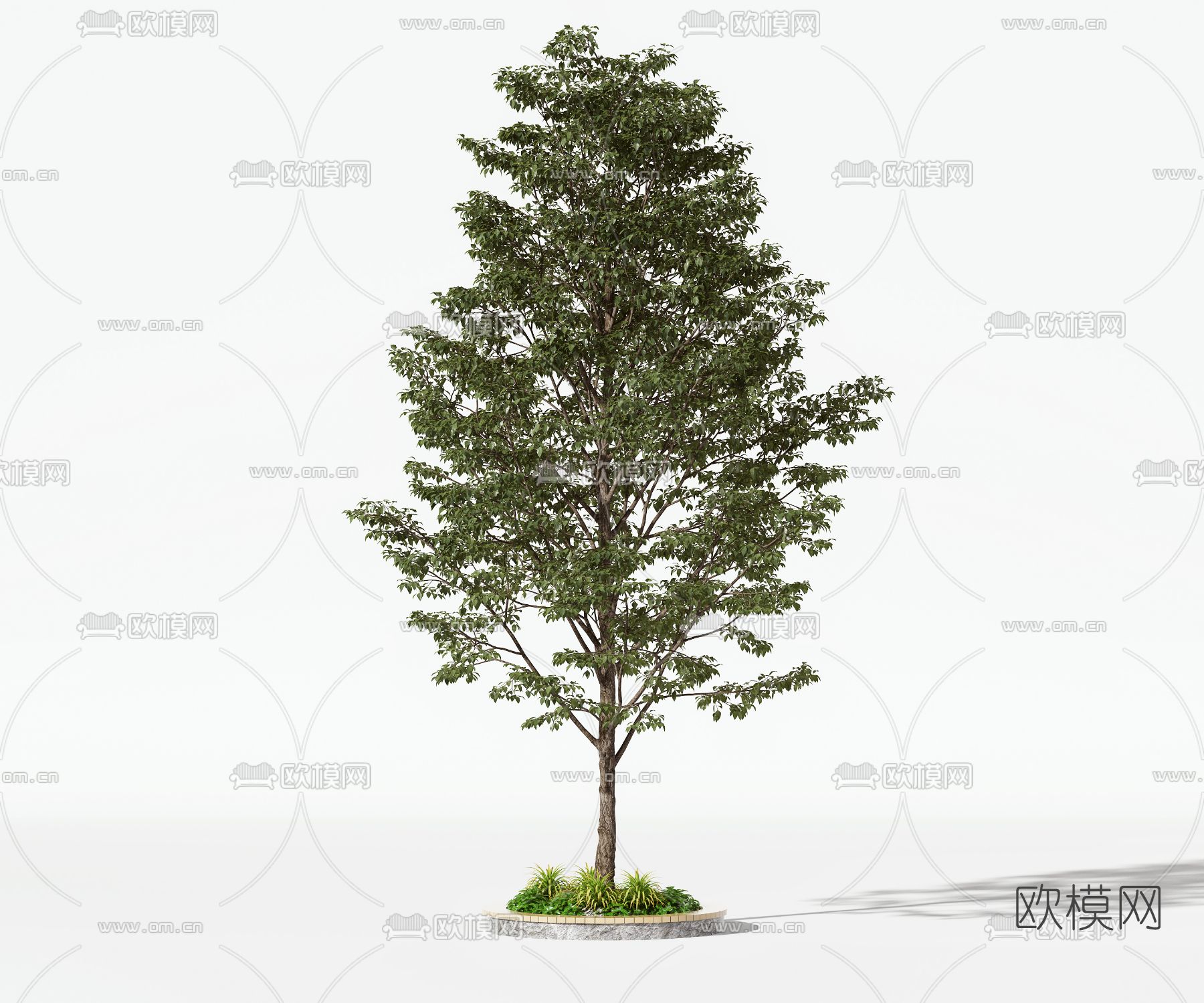 现代绿植树木景观树3d模型下载