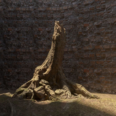 造景树根免费3d模型