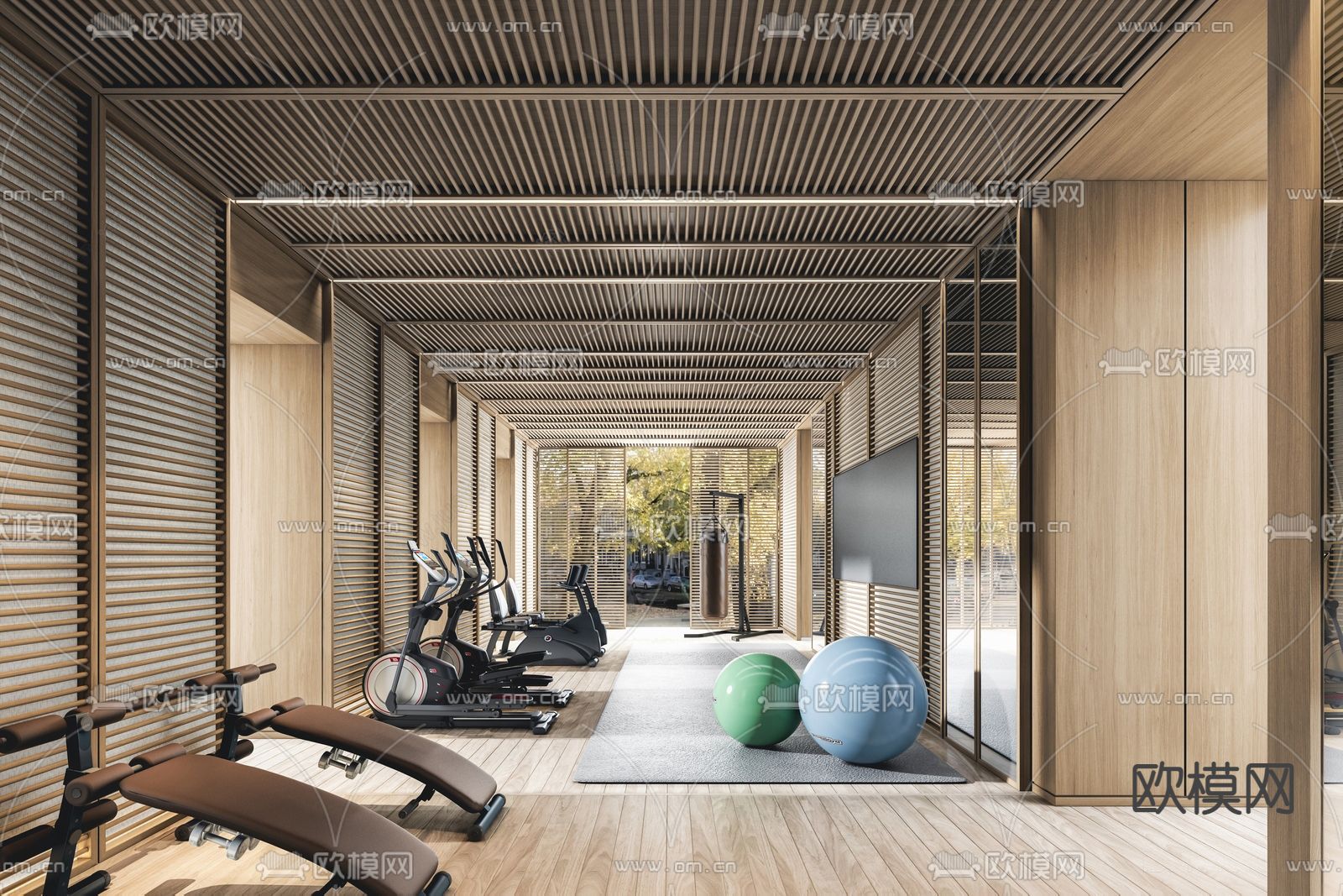 现代健身房su模型下载（渲染图1）
