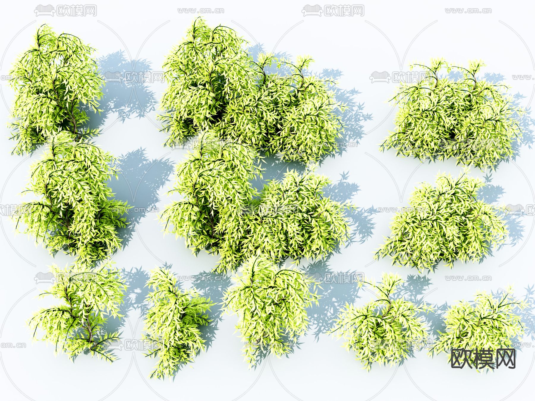 灌木免费3d模型下载