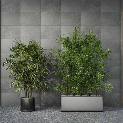  现代竹盆栽su模型 