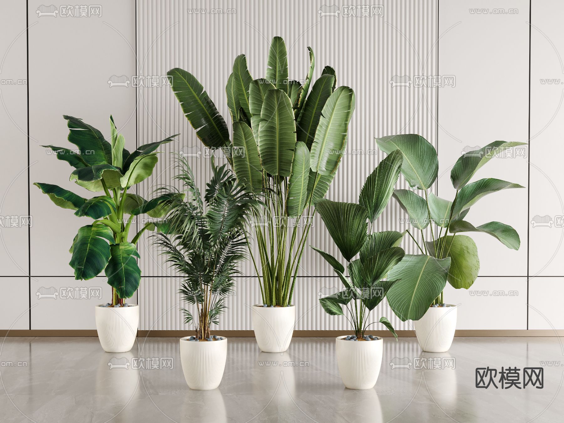 芭蕉绿植盆栽3d模型
