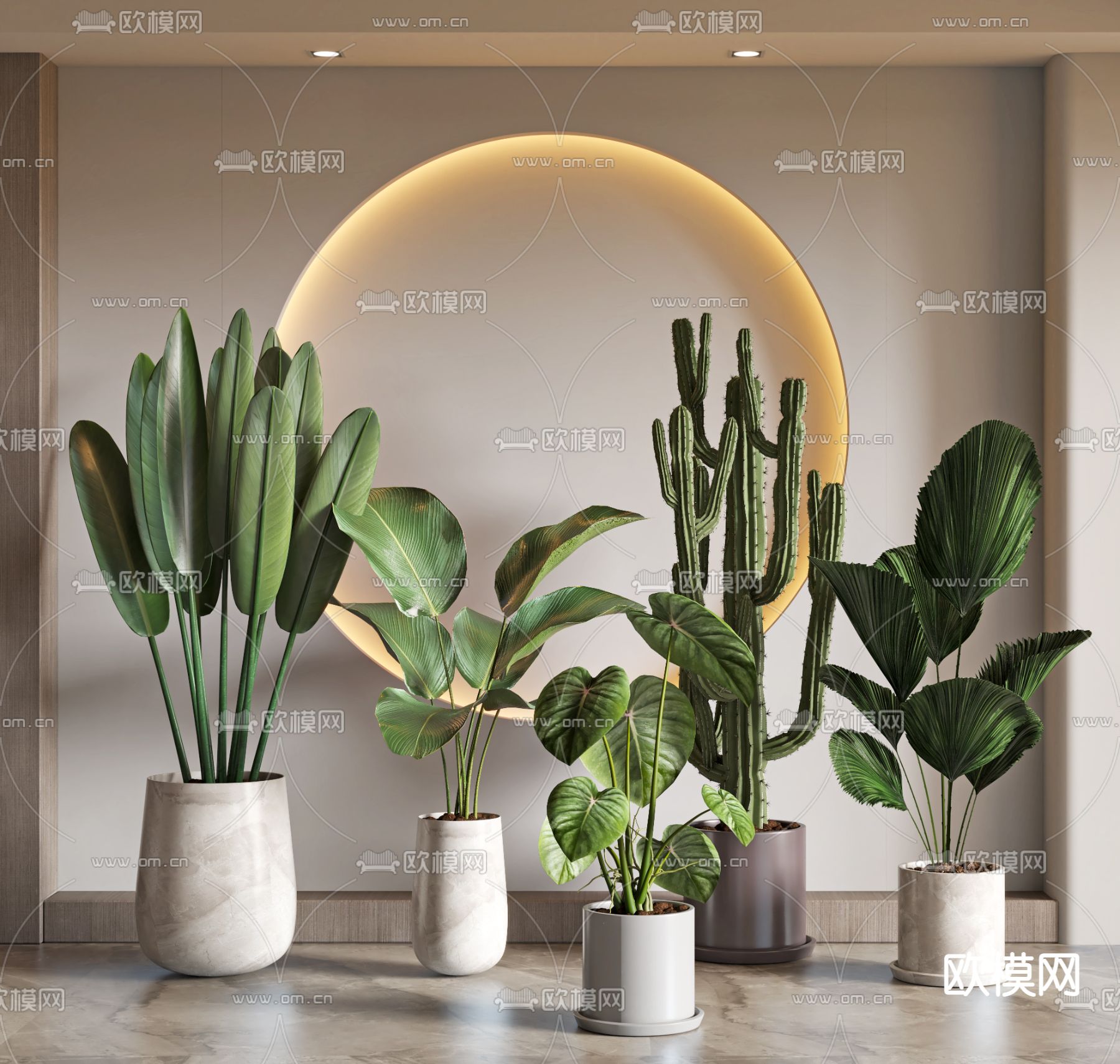 仙人掌阔叶绿植盆栽3d模型