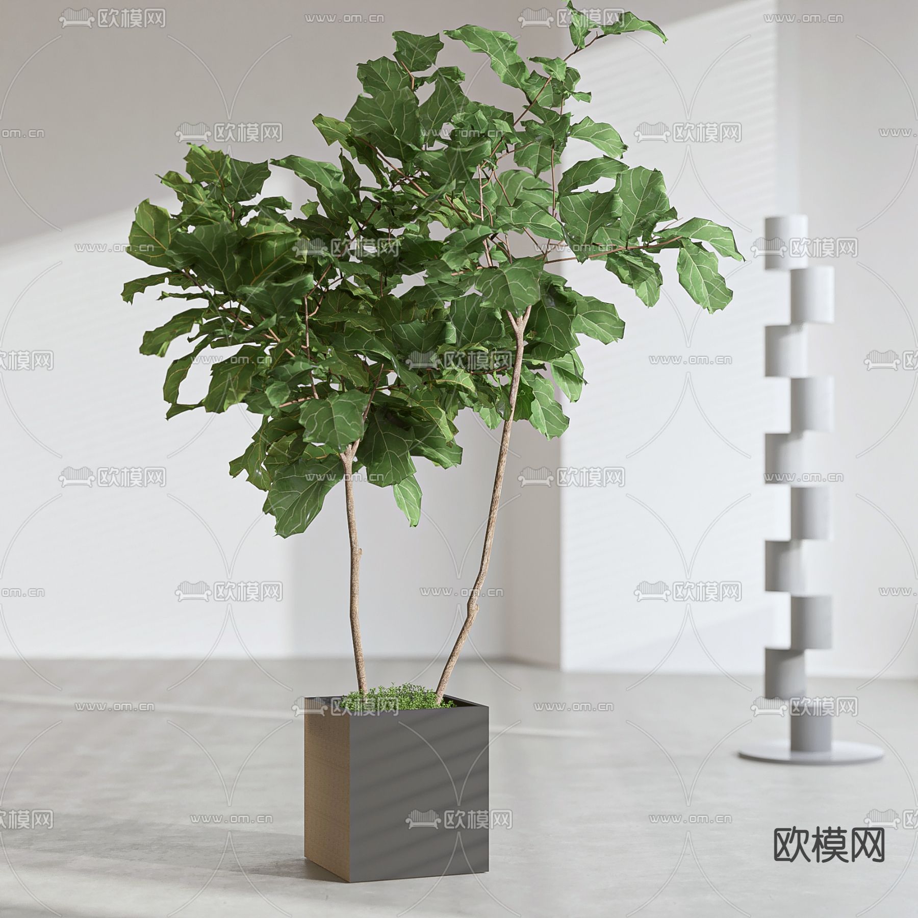 大琴叶榕绿植盆栽3d模型下载_ID11973612_3dmax免费模型-欧模网