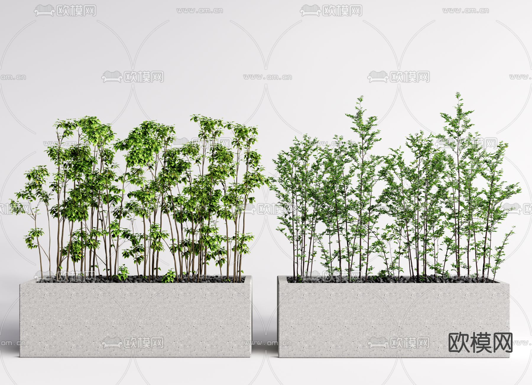 现代竹子植物盆栽3d模型下载