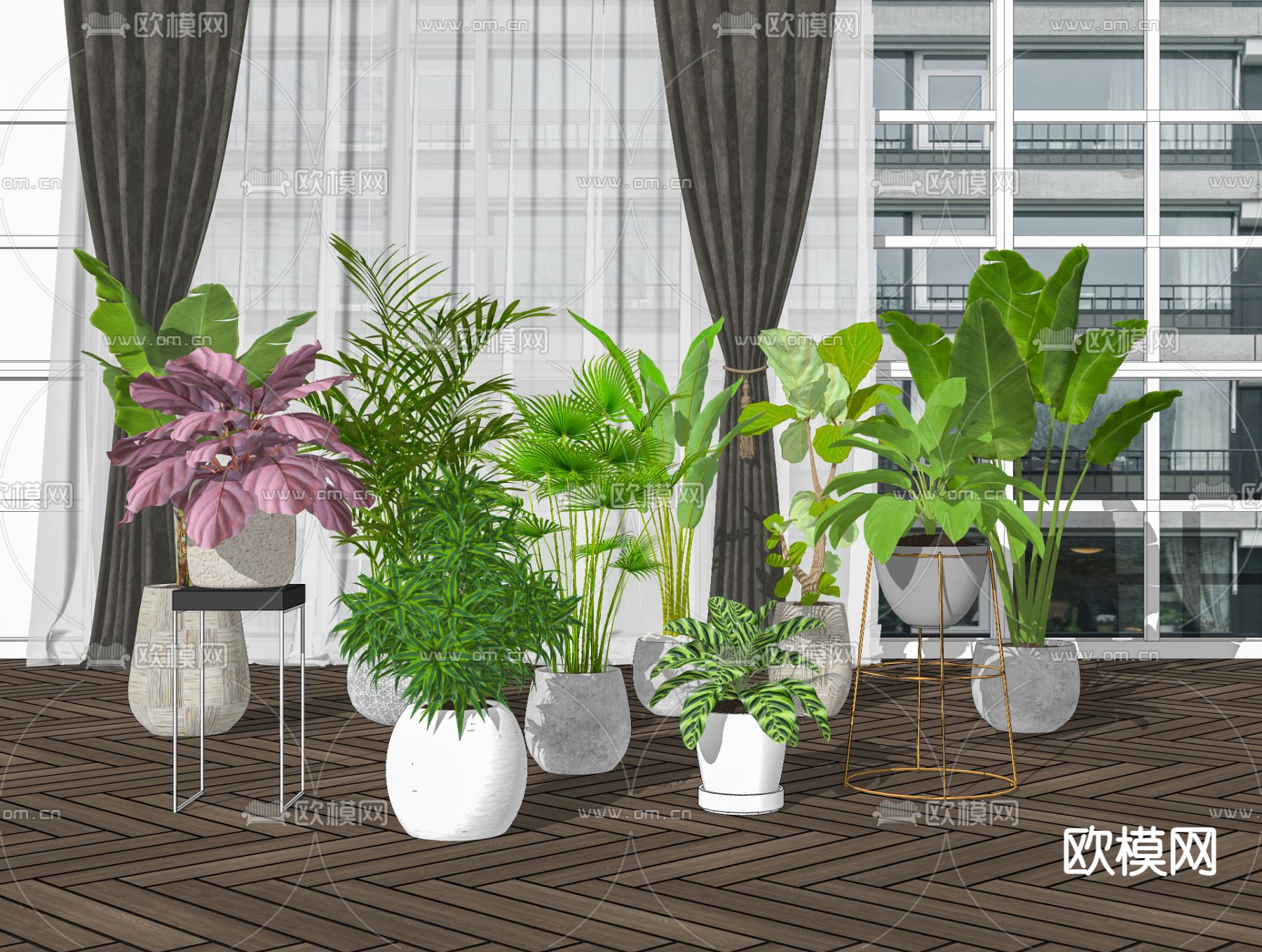 现代绿植盆栽su模型下载（渲染图2）
