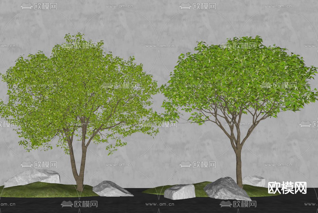 现代景观树su模型下载（渲染图2）