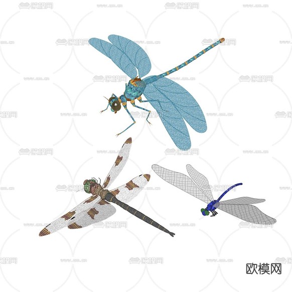 现代蜻蜓标本su模型下载