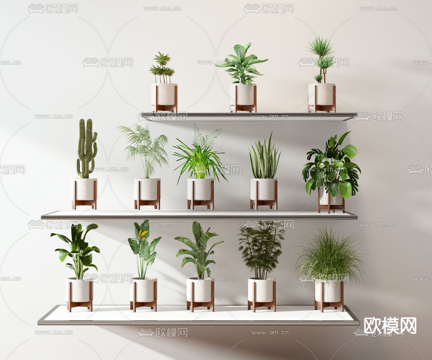 小盆盆栽植物组合3d模型