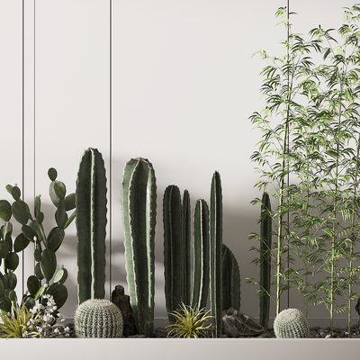  仙人掌绿竹植物堆su模型 