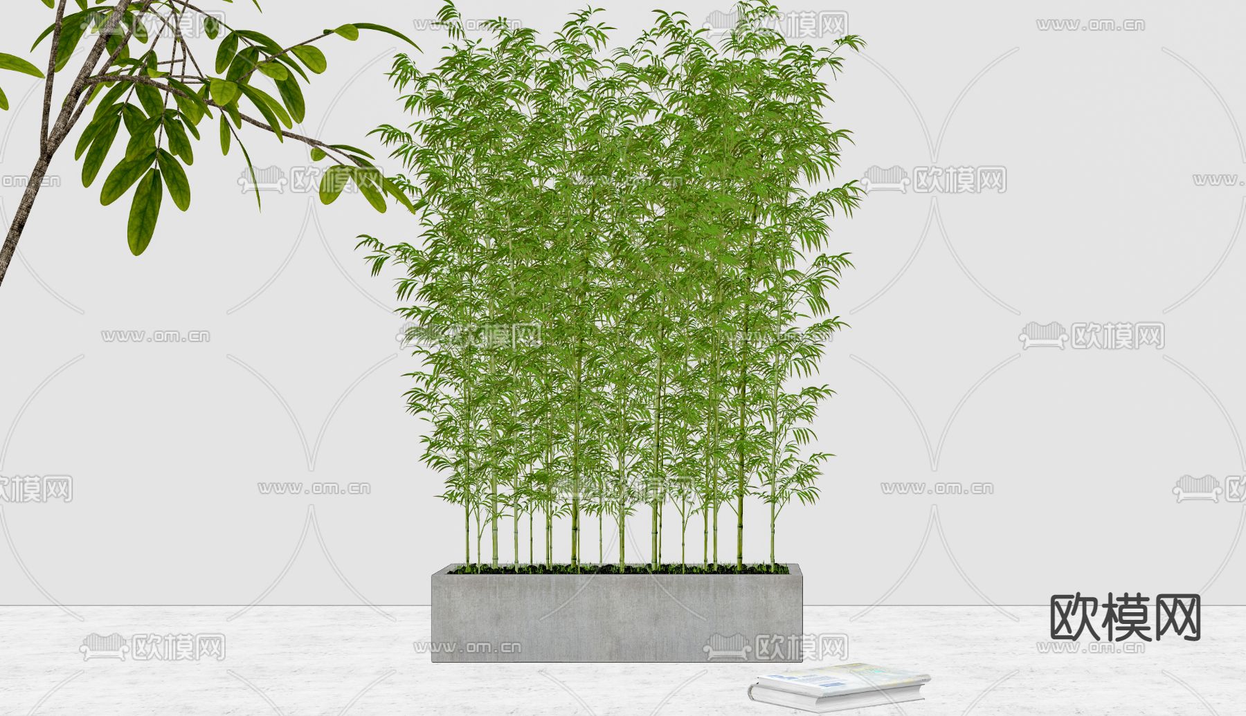 现代绿竹盆栽su模型下载（渲染图2）