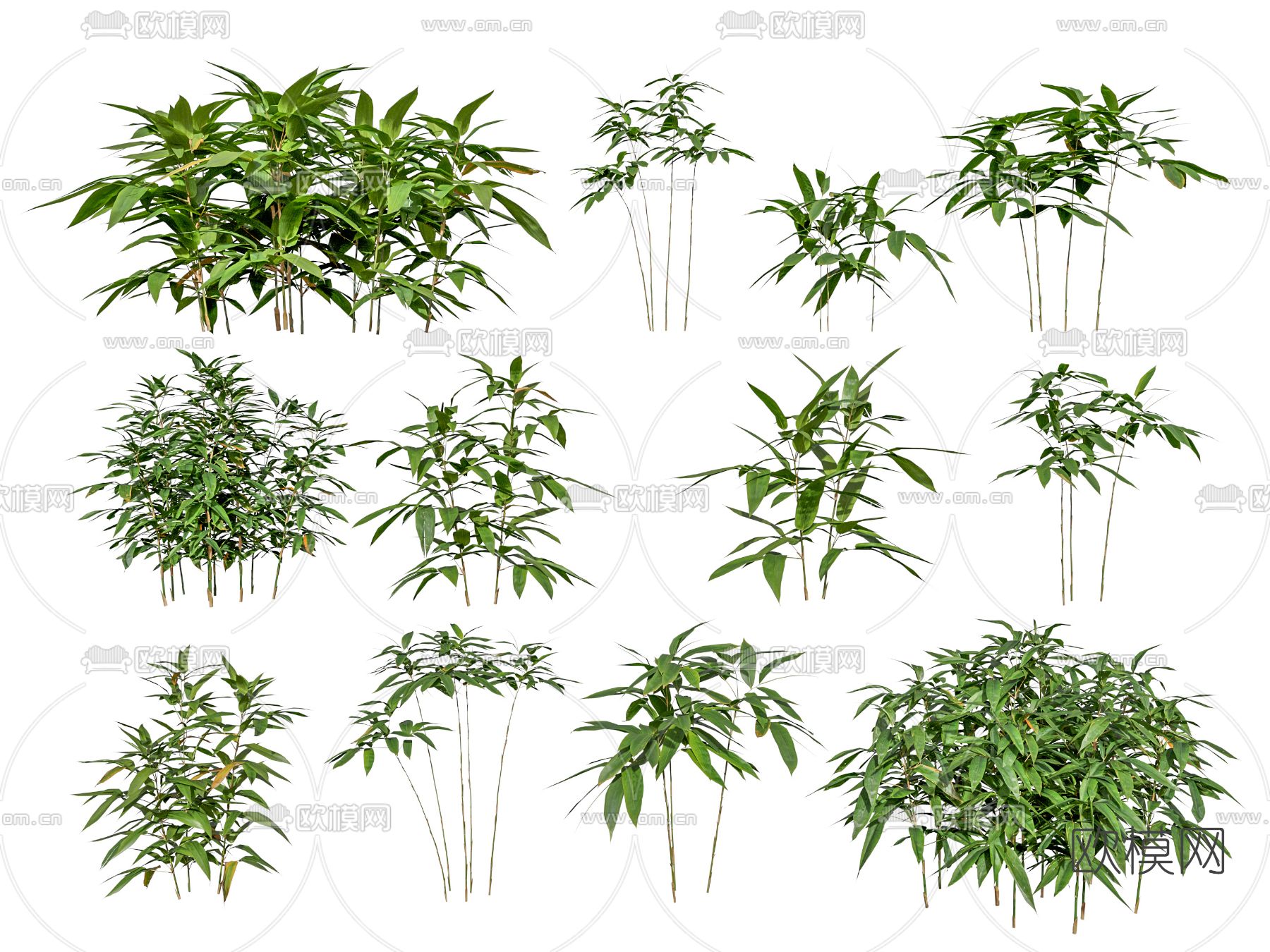 绿植竹子3d模型下载