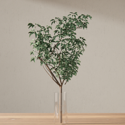  现代水生植物花瓶su模型 