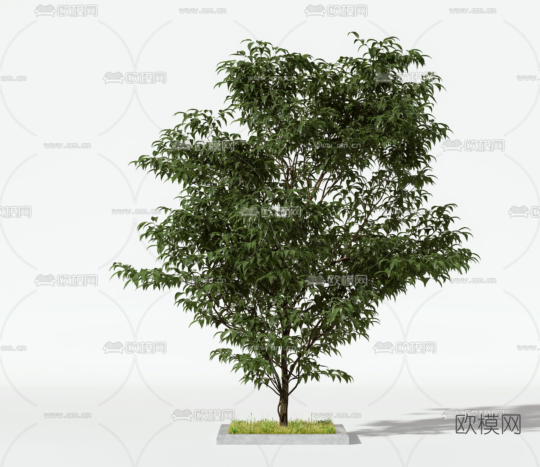 现代绿植树木景观树3d模型下载