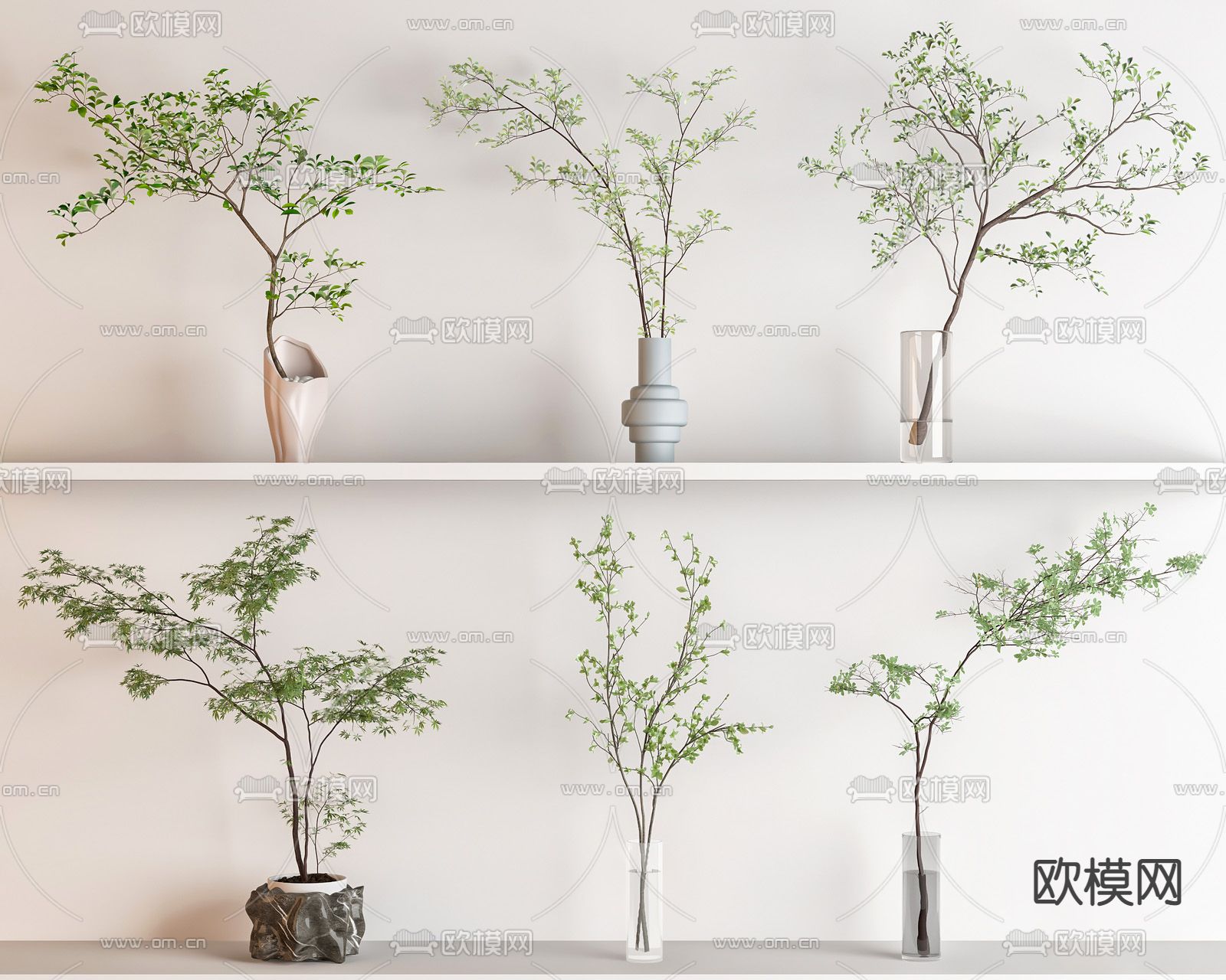 现代水生植物盆栽su模型下载（渲染图1）