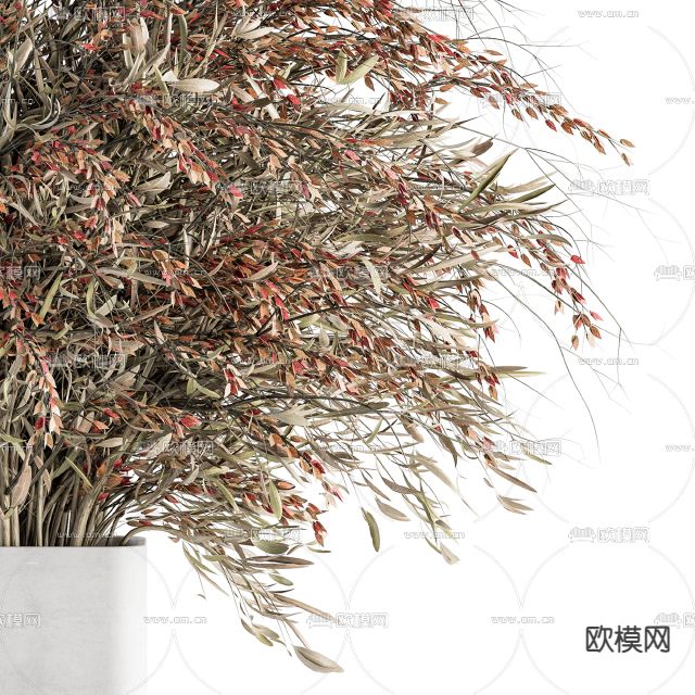 侘寂风干花花瓶花艺3d模型下载（渲染图3）