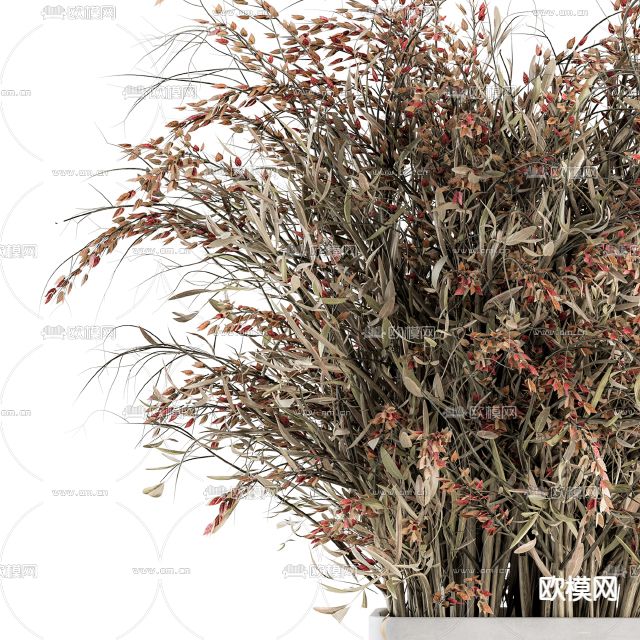 侘寂风干花花瓶花艺3d模型下载（渲染图2）