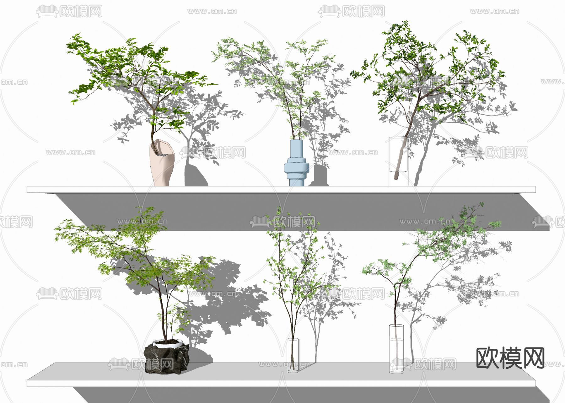 现代水生植物盆栽su模型下载（渲染图2）