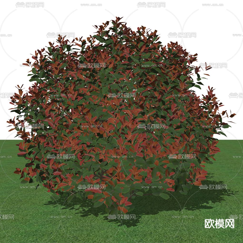 绿化灌木su模型下载