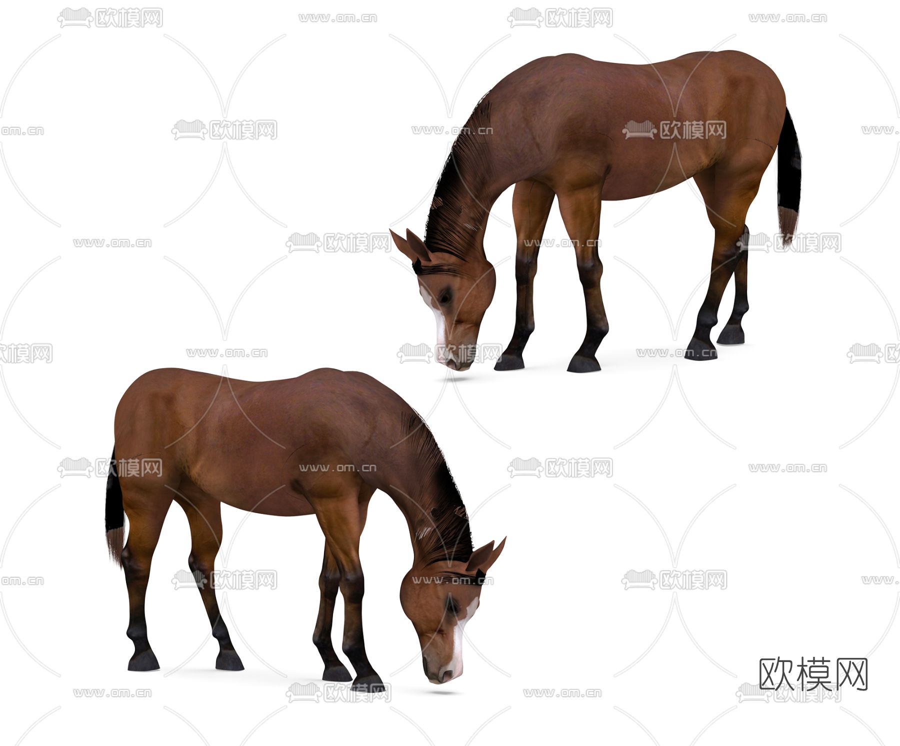 现代动物马3d模型下载
