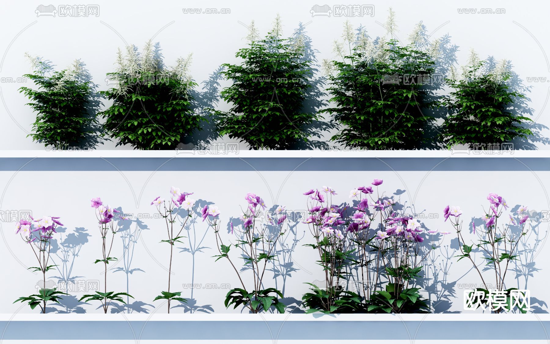 绿植灌木免费3d模型下载