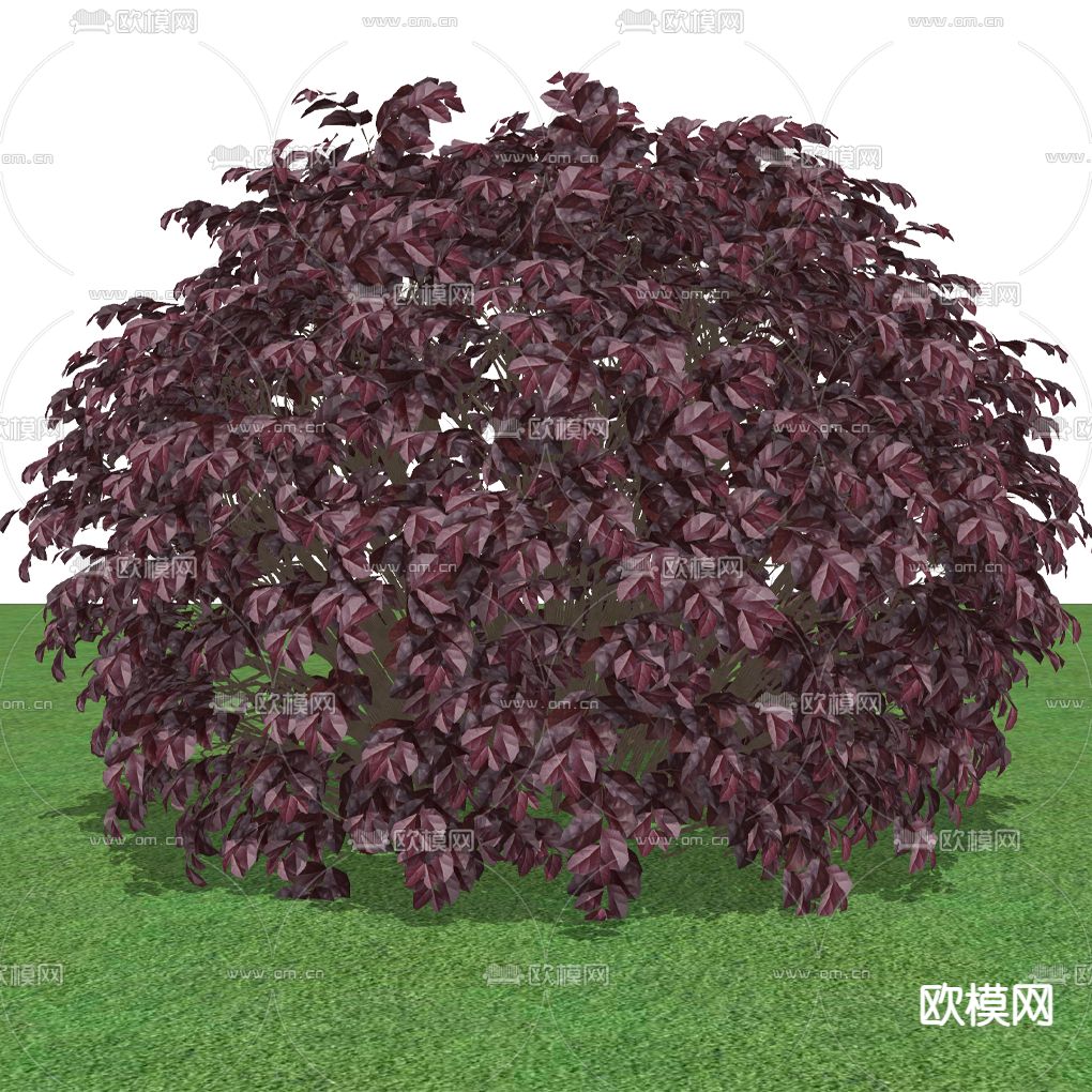 绿化灌木su模型下载