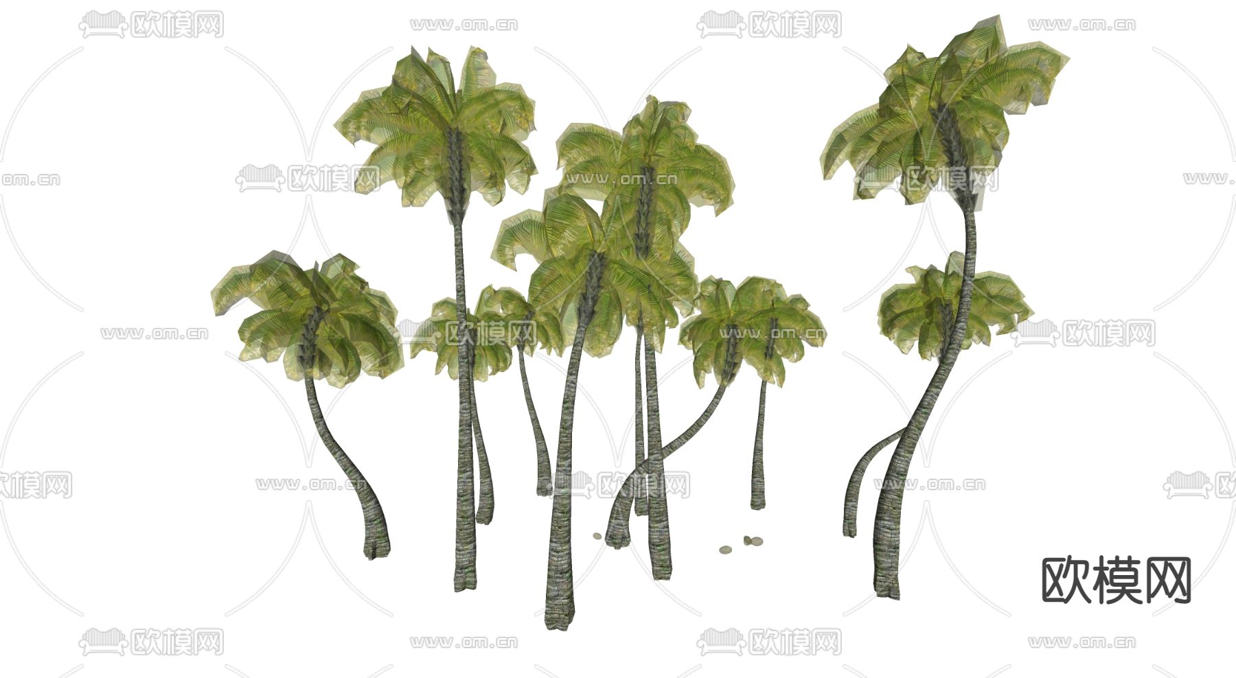 椰子树su模型下载（渲染图2）