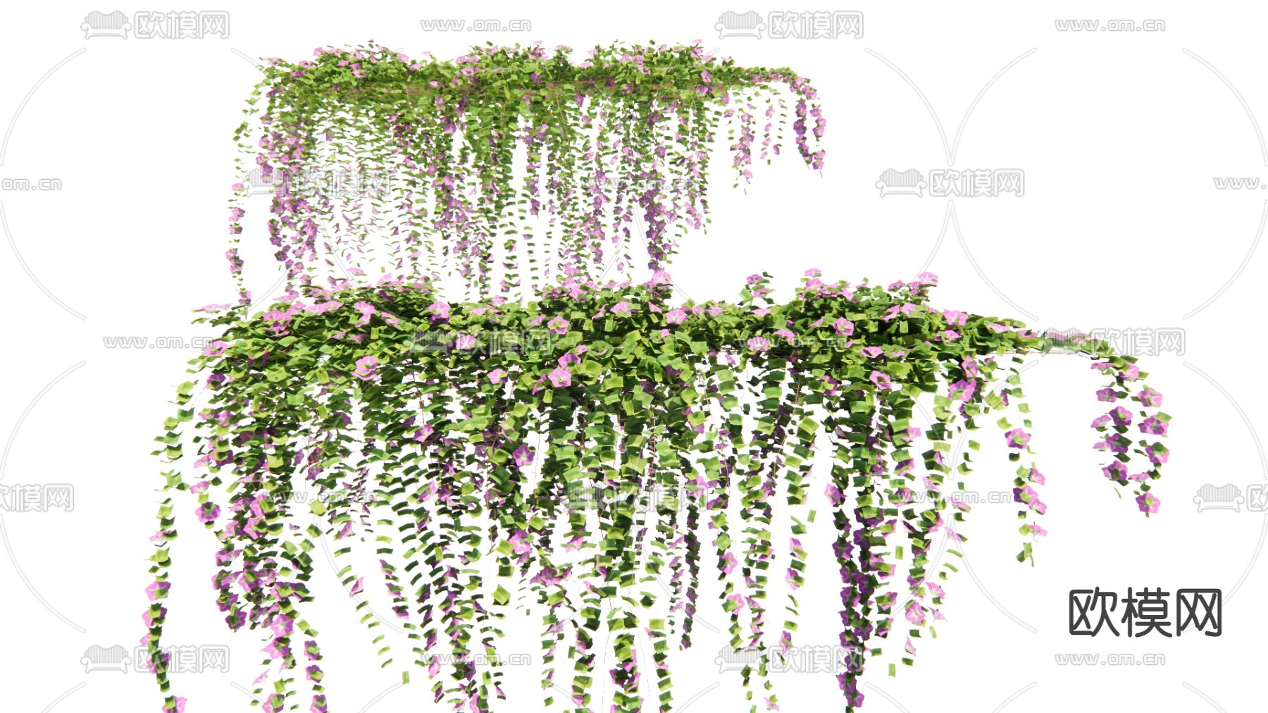 现代牵牛花藤蔓su模型