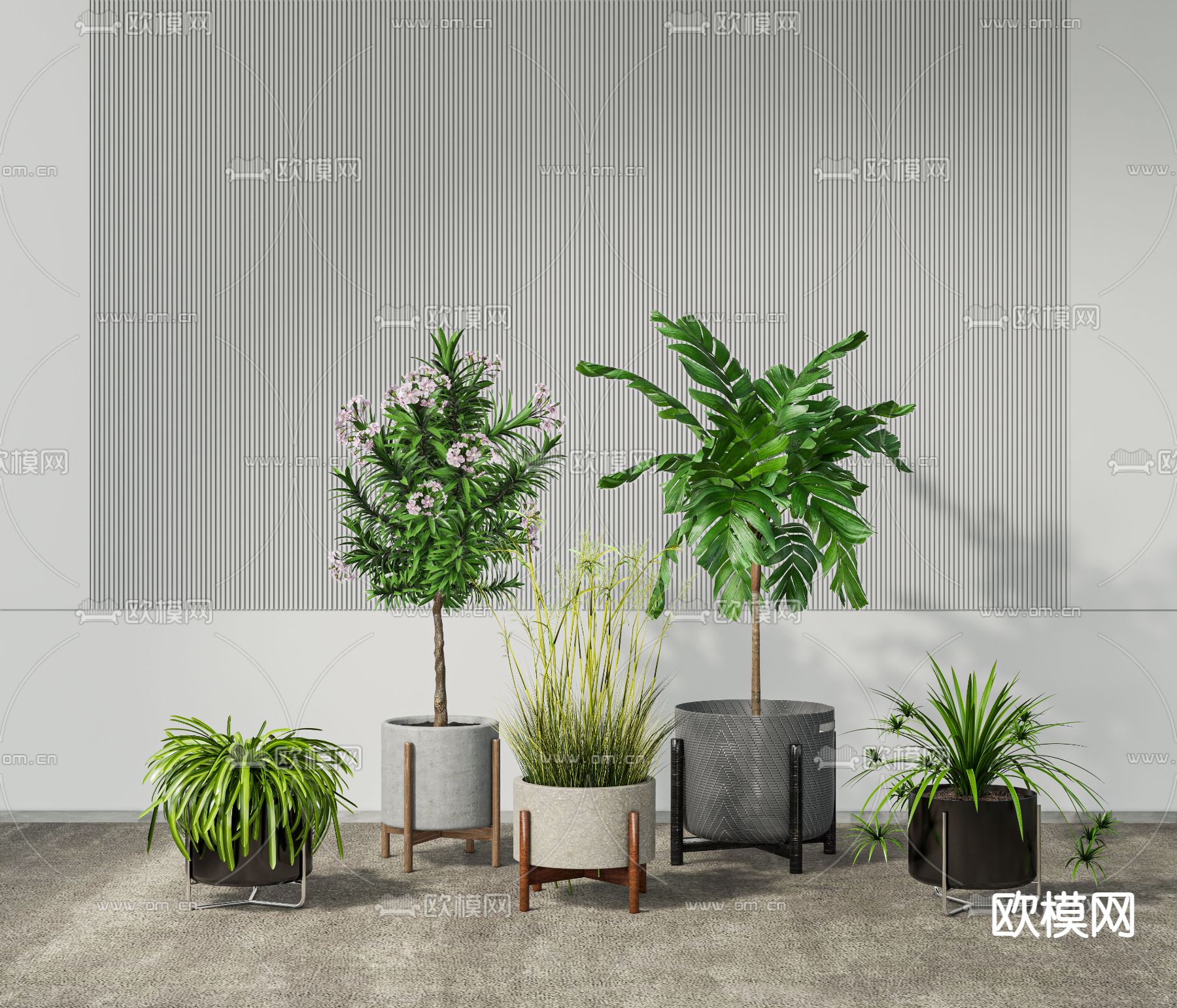现代绿植盆栽su模型下载_ID11984686_sketchup模型下载-欧模网