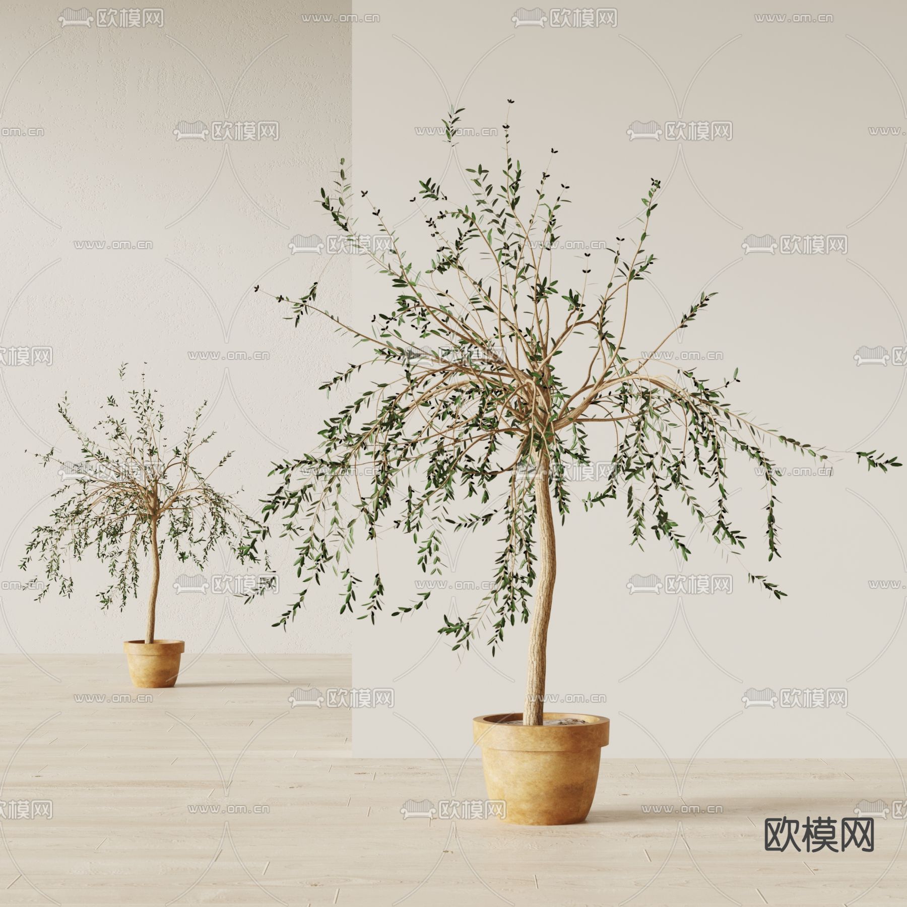 现代植物盆栽su模型下载（渲染图1）