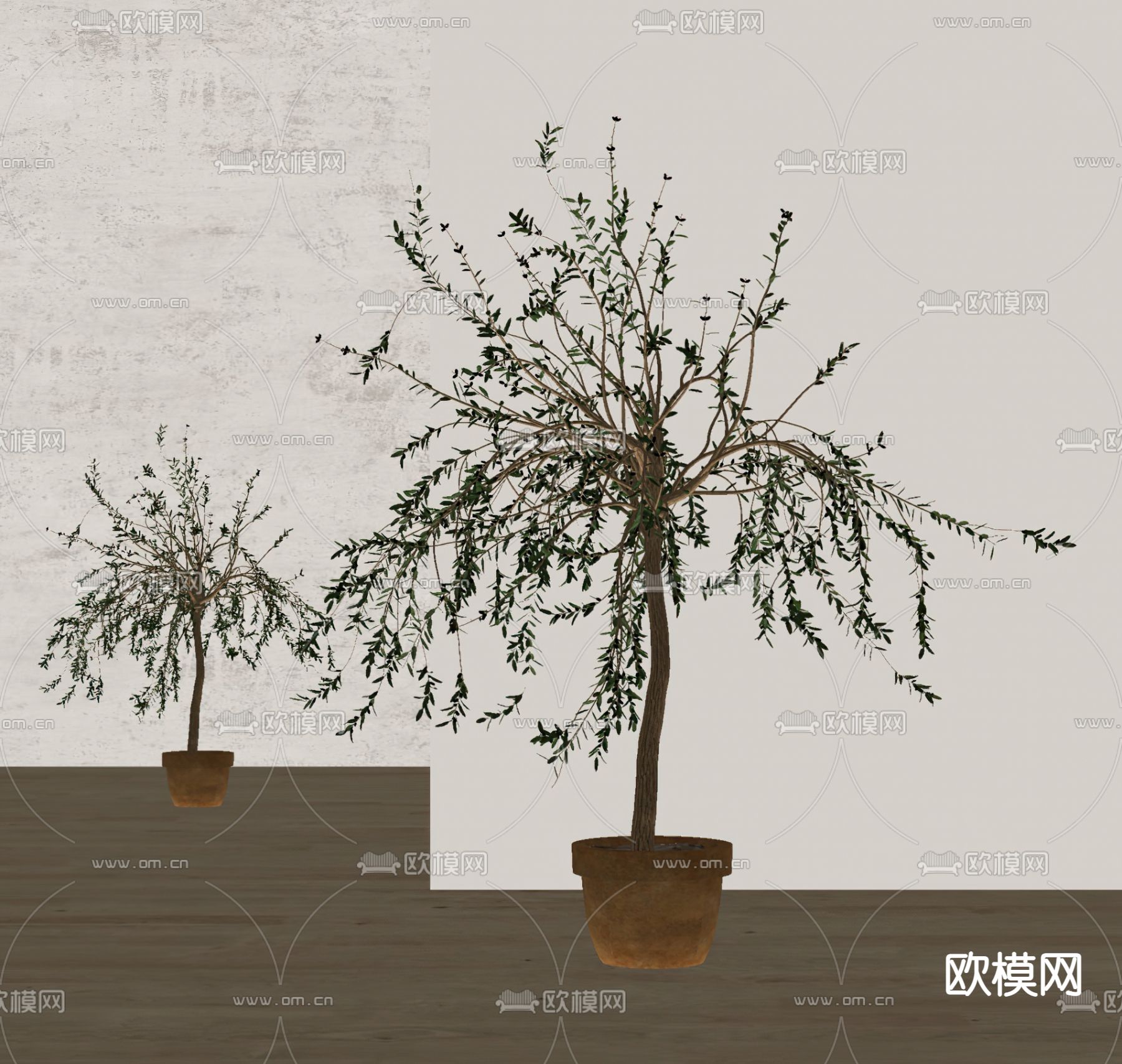 现代植物盆栽su模型下载（渲染图2）