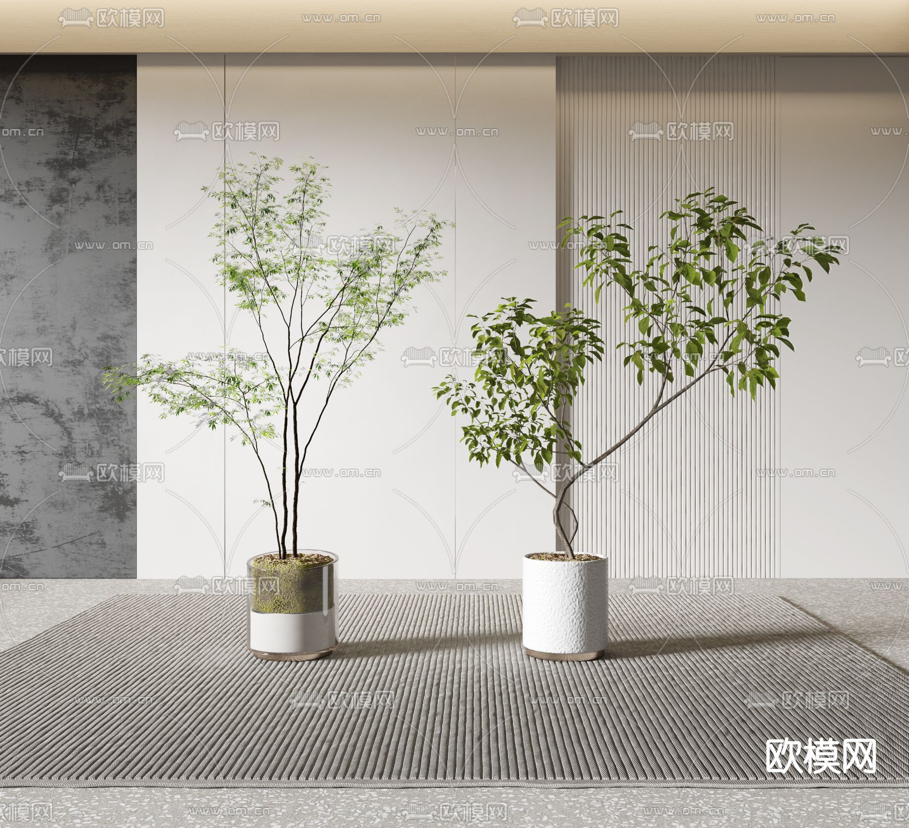 现代樟树绿植盆栽3d模型