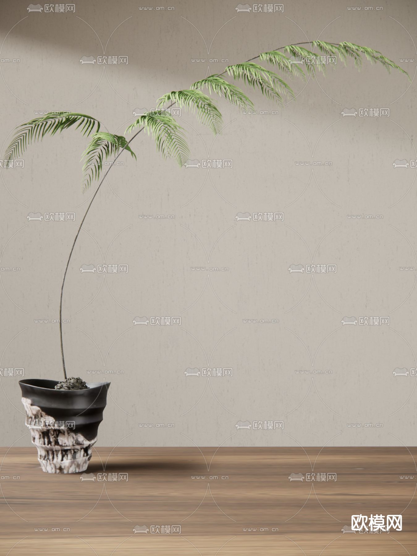 现代植物盆栽su模型下载（渲染图1）