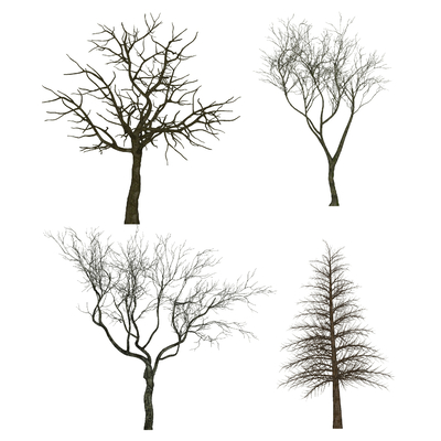  现代枯树su模型 