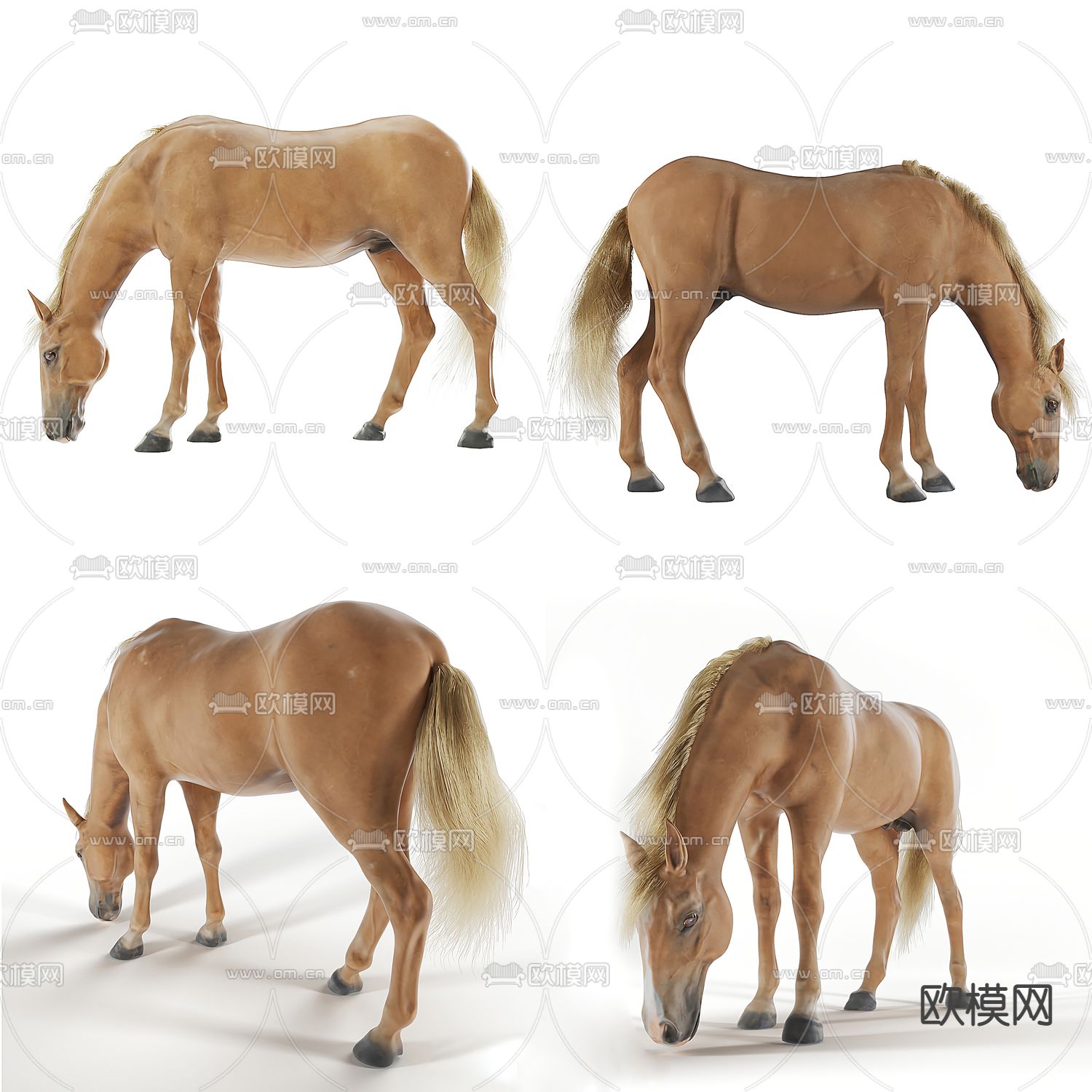 现代动物马3d模型下载（渲染图1）