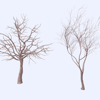  景观枯木树su模型 
