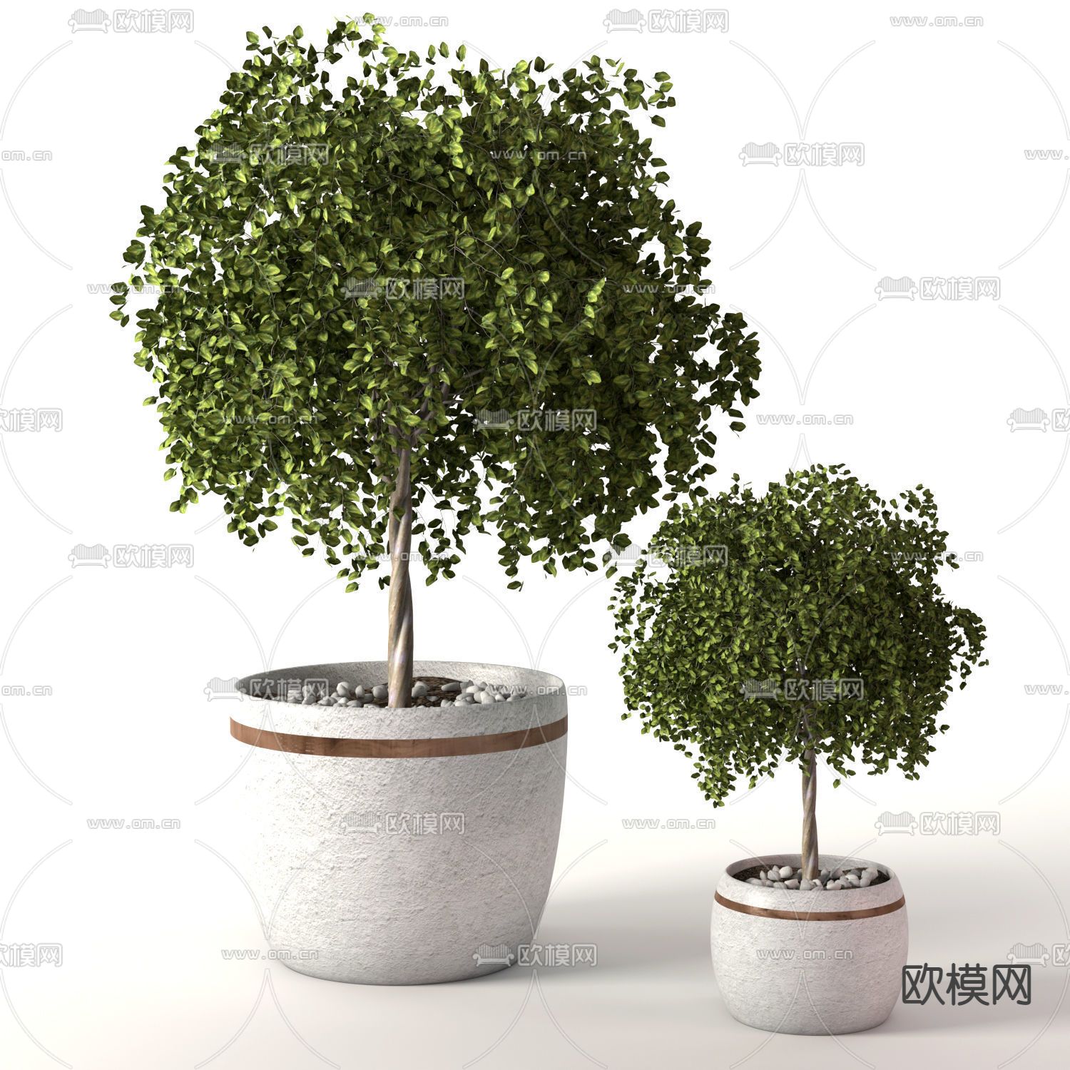 现代简约绿植盆栽免费3d模型下载