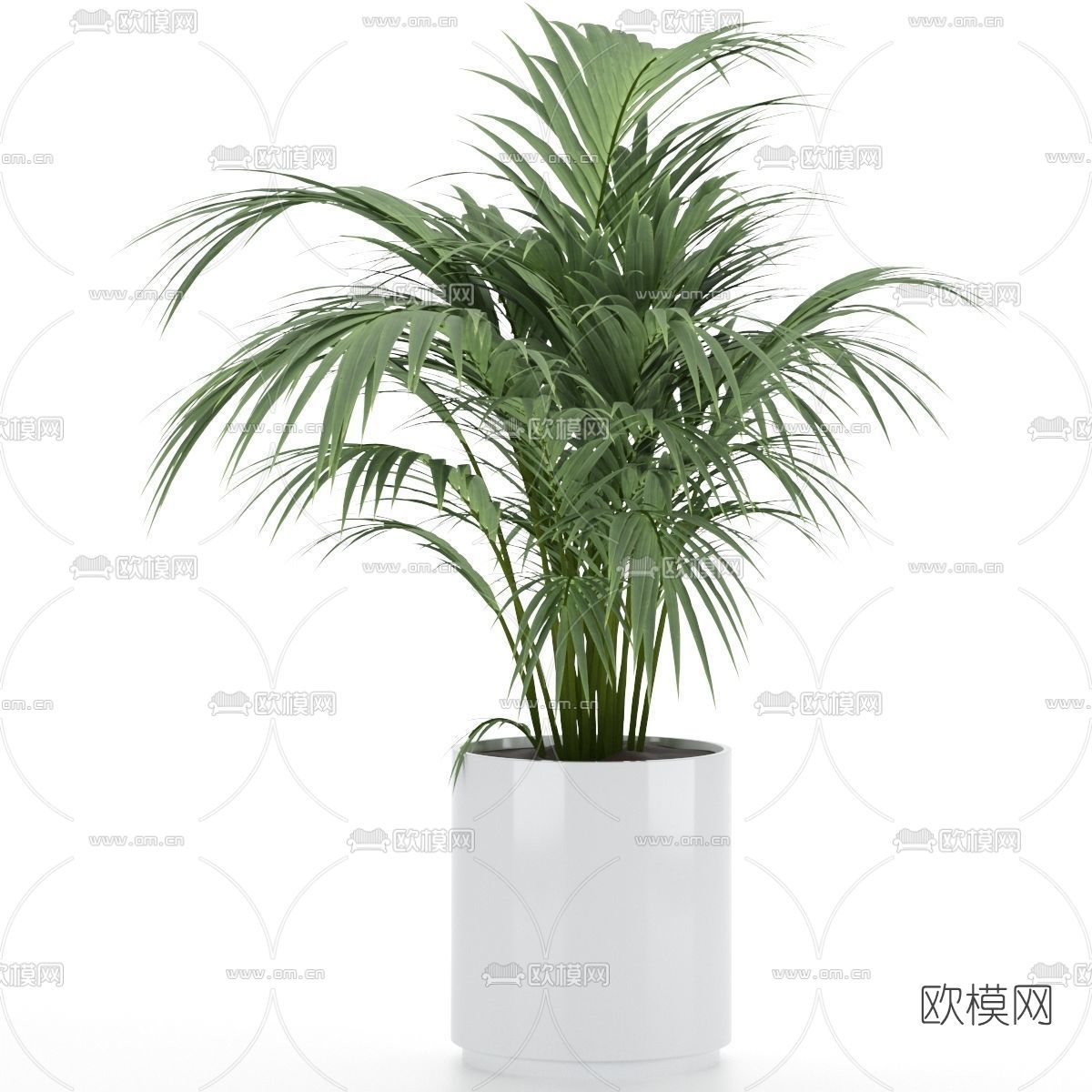 现代植物盆栽3d模型下载（渲染图4）